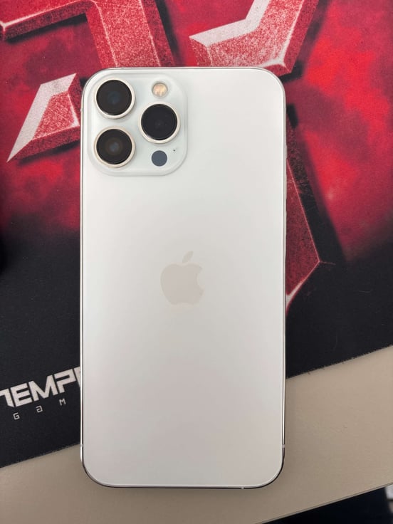 Apple iPhone 13 Pro Max 17 cm (6.7